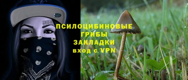мдпв Медвежьегорск
