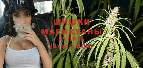 бутират Мегион