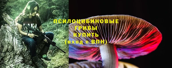 бутират Мегион