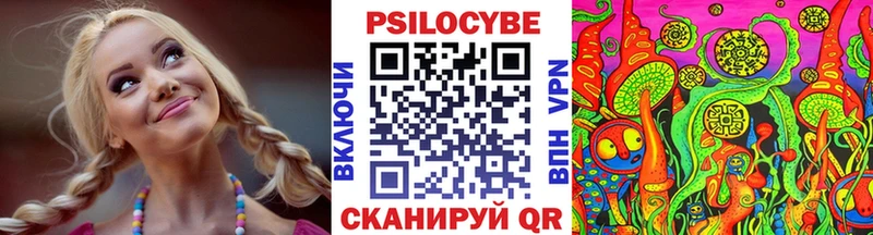 что такое   Чухлома  Псилоцибиновые грибы GOLDEN TEACHER 