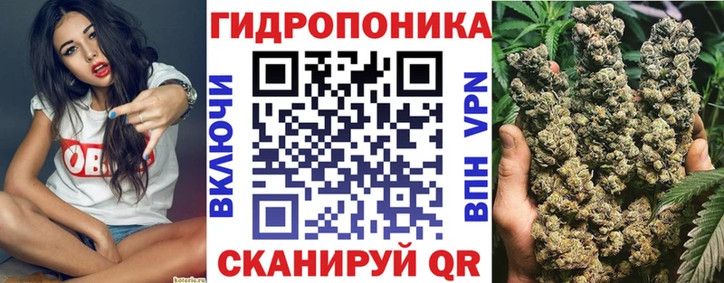 блэк спрут ссылки  Чухлома  Бошки Шишки ГИДРОПОН 